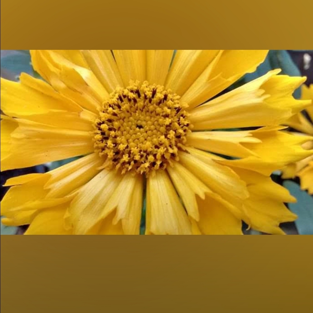 Meet your Posher, Pat and kay